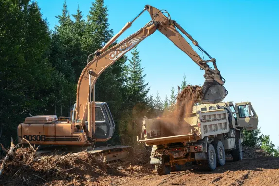 FizzSlots Cazino Cazinou Suport